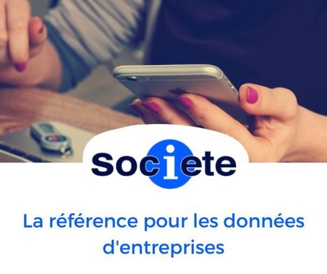 Portails web - Site internet - Information légale, juridique et financière sur les entreprises françaises